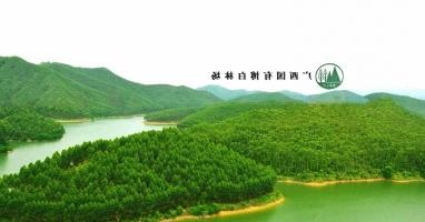 广西国有博白林场与网堵正规平台网址林业全程机械化示范基地合作协议成功签署